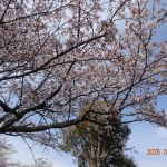 DSC05746.JPG