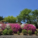 IMG_4337.jpg