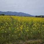 IMG_6664.jpg