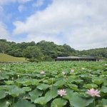 IMG_7890.jpg